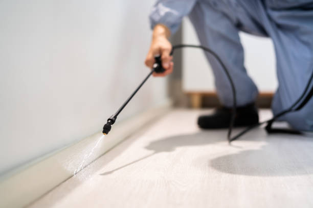 Licensed Pest Control service in Middletown, NY - Show Me Pest Control